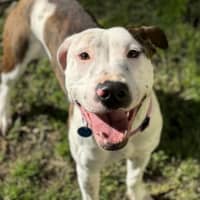 Photo of Wilma