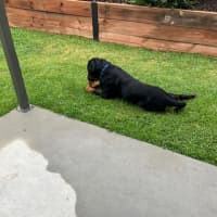 Photo of Zeus