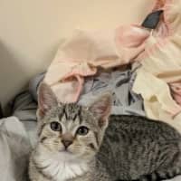 Photo of Lucy