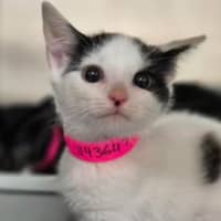 Photo of Maggie