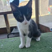 Photo of Miggle