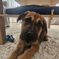 Photo of Jelly