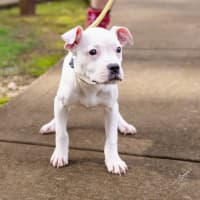 Photo of Butterfield