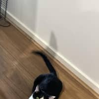 Photo of Lucy 