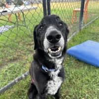 Photo of Turbo