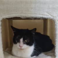 Photo of Lucky