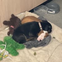 Photo of Xalia