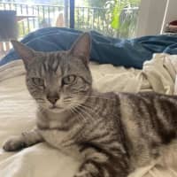 Photo of Missy