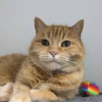 Photo of 🍓 Audrey 5452 🍓