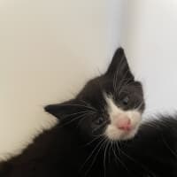 Photo of Tia