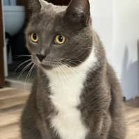 Photo of Winston