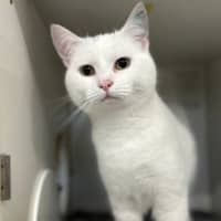 Photo of Corio