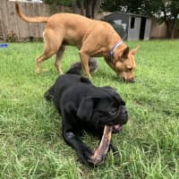 Photo of Milton 💗