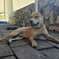 Photo of Thor