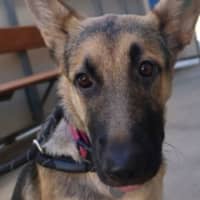 Photo of Artemis