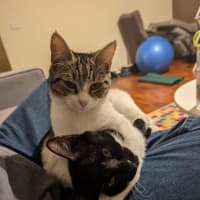 Photo of Honey & Rory 🥰