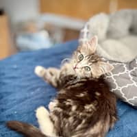 Photo of Sophie