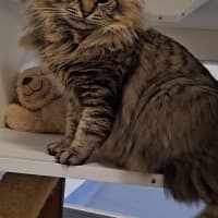 Photo of Leon