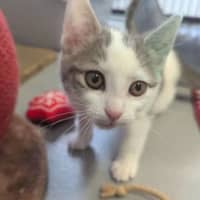 Photo of Kiki