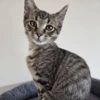 Photo of Dorothy