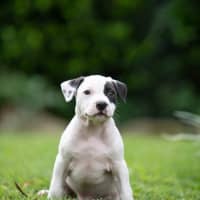 Photo of Rookie