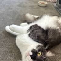 Photo of Fern