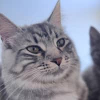 Photo of Sylvia