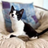 Photo of Cee Cee   Located In Eltham