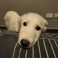 Photo of Kammy