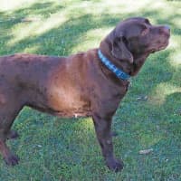Photo of Coco