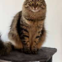 Photo of Lexi & Cara