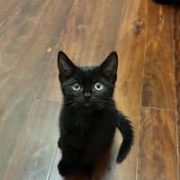 Photo of Sprout