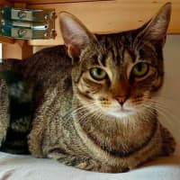 Photo of Elona