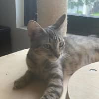 Photo of Ellie (Eleanor)