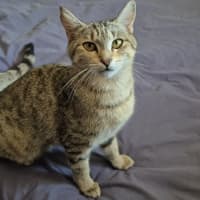 Photo of Nini