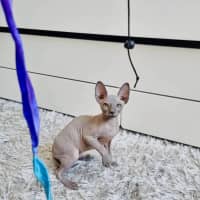 Photo of Luna And Lylah