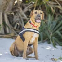 Photo of Dayna (Donya)