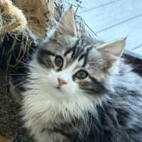 Photo of Jake 🦁💙🦁