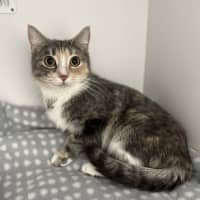 Photo of Mimi