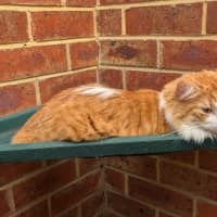 Photo of Jasper