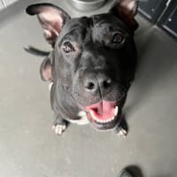 Photo of Peetie