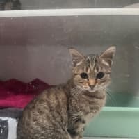 Photo of Rosie & Roxy