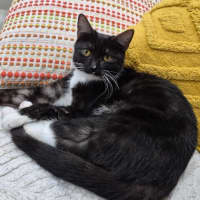 Photo of Yuki