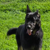 Photo of Senior Constable Bork 
