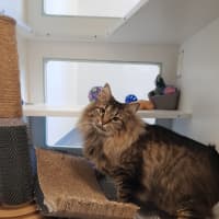 Photo of Leon