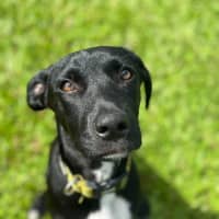Photo of Parker 