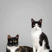 Photo of Molly & Nom Noms