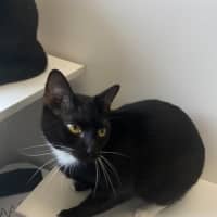 Photo of Buttons And Magic