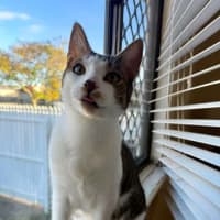 Photo of Esmeralda
