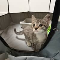 Photo of Buddy Hobbs